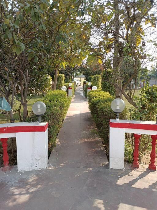 Вілла Achal Farm जंगल में मंगल Ґурґаон Екстер'єр фото
