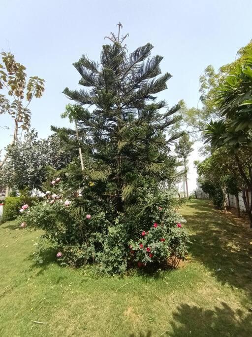 Вілла Achal Farm जंगल में मंगल Ґурґаон Екстер'єр фото