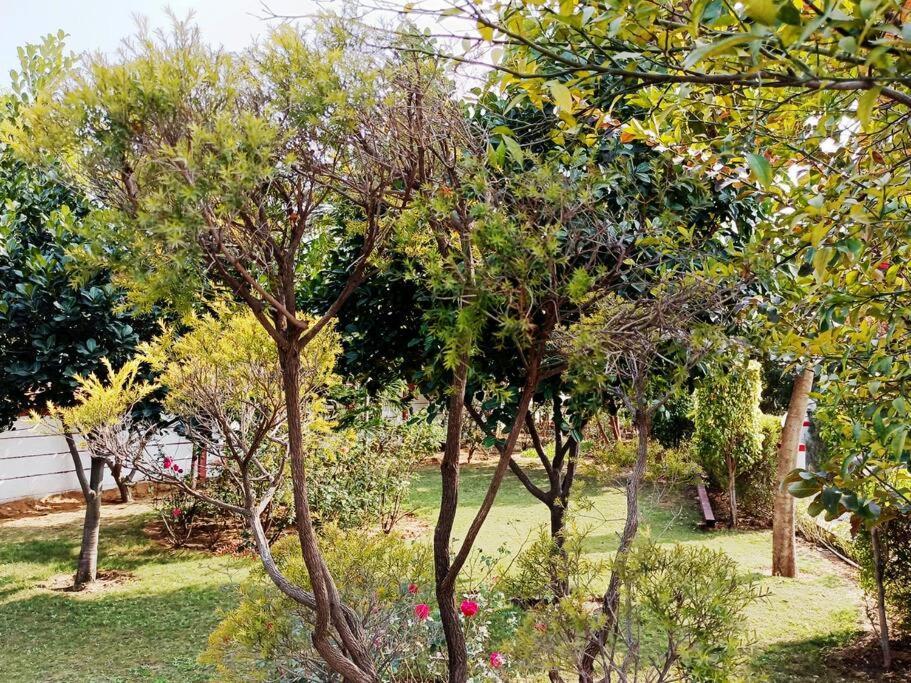 Вілла Achal Farm जंगल में मंगल Ґурґаон Екстер'єр фото